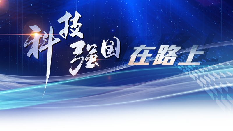数字化转型的关键：如何选择靠谱的解决方案提供商**